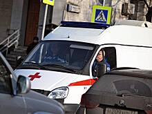 Неуправляемое колесо лесовоза снесло 11-летнего российского школьника и попало на видео