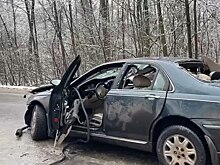 В Курской области за неделю произошло 29 ДТП с 9 погибшими