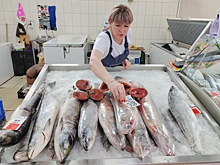 От чего зависит стоимость морепродуктов в наших магазинах