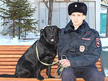 «Списали после службы»: Полицейский приютил брошенную собаку в Приморье