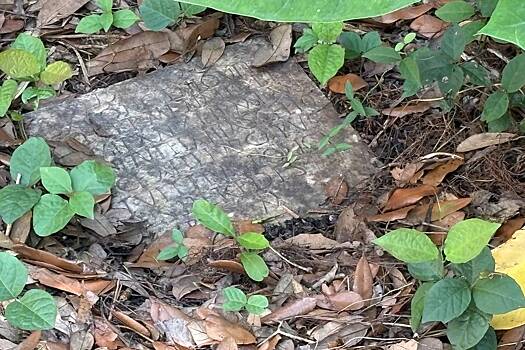 Мужчина случайно нашел во дворе пропавшее из музея древнее надгробие