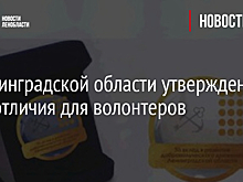 В Ленинградской области утвержден знак отличия для волонтеров