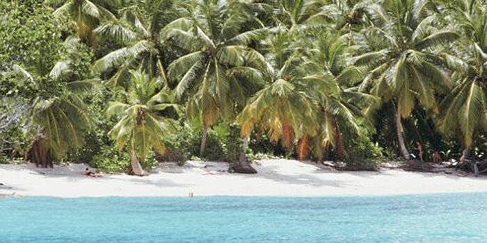 В АТОР рассказали, смогут ли туристы полететь на Сейшельские острова