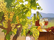 Закон о вине перезапустит историческую отрасль в России