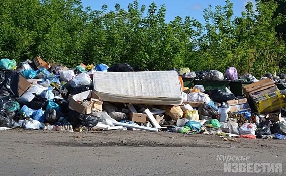 Курская область. По решению суда под Щиграми закрыт мусорный полигон