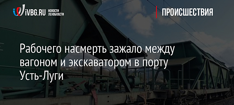 Рабочего насмерть зажало между вагоном и экскаватором в порту Усть-Луги