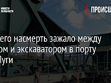 Рабочего насмерть зажало между вагоном и экскаватором в порту Усть-Луги