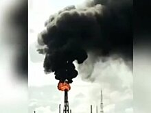 Руфина Шагапова заявила об экологическом преступлении в Башкирии (ВИДЕО)