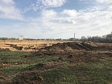 В первом полугодии 2021 года власти Подмосковья планируют продать 308 га изъятых сельхозземель