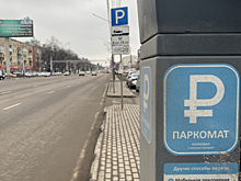 Общественники Воронежа раскритиковали платные парковки: в мэрии не в курсе
