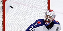Александр Пашков: «Федотова жалко. Парень все сделал для нашего хоккея, а может чуть ли не в тюрьму угодить»