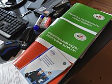 В Набережных Челнах на выборах в горсовет порог преодолели пять партий