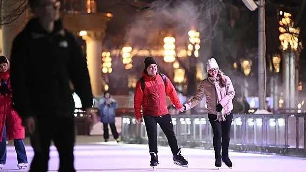 17 катков с искусственным льдом уже открыли в парках Москвы