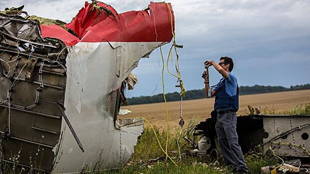 Александр Шульгин: Украина манипулирует следствием по катастрофе MH17