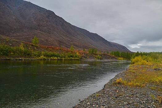 Жители Харпа предложили сделать из поселка туристическое место 