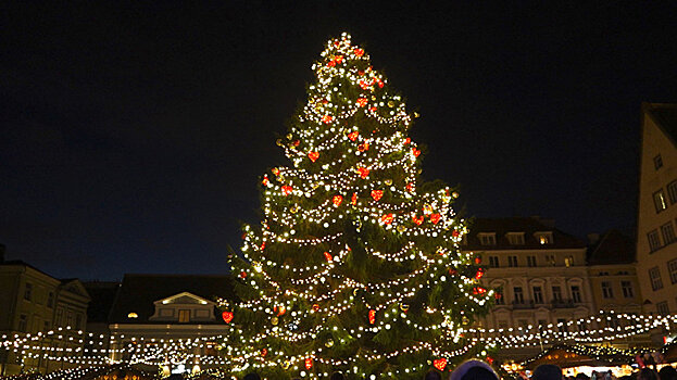 Огни рождественской ели зажглись на Ратушной площади