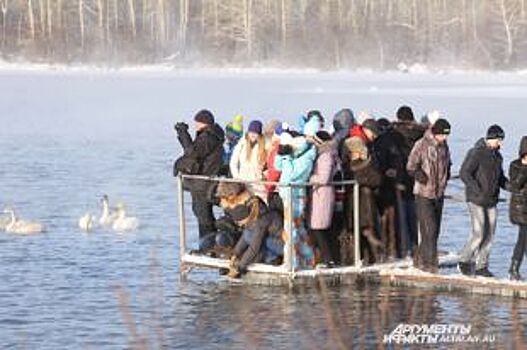 Заказник «Лебединый» готовится принять птиц и туристов