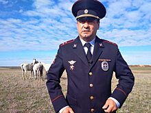 Экс-глава саратовской полиции проплыл 11 километров по Волге
