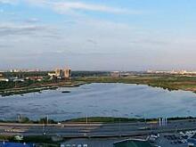 Тюменские экологи обнаружили свалку на озере Алебашево