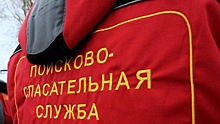 Глава ВОСВОД Александр Зуев рассказал, как действовать при спасении утопающего