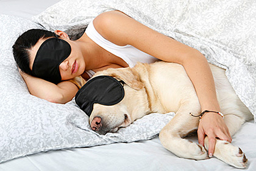 Названа лучшая альтернатива супругам в кровати