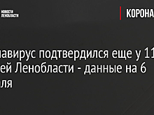 Коронавирус подтвердился еще у 112 жителей Ленобласти - данные на 6 февраля