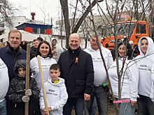 В сквере «Пионерский» высадили «Сад памяти»