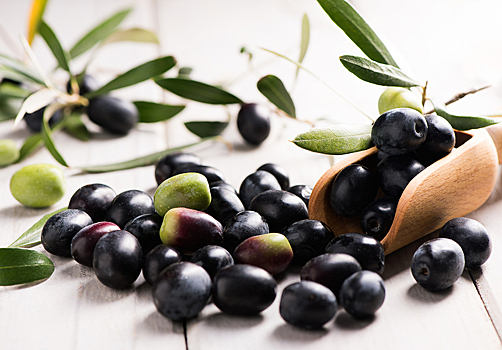 Все, что вы хотели знать об оливках