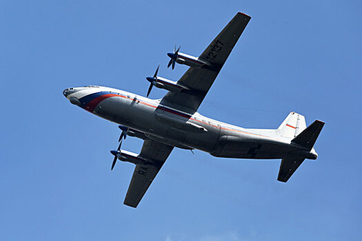 Ан-12 при посадке в Новом Уренгое выкатился за пределы ВПП из-за проблем с шасси