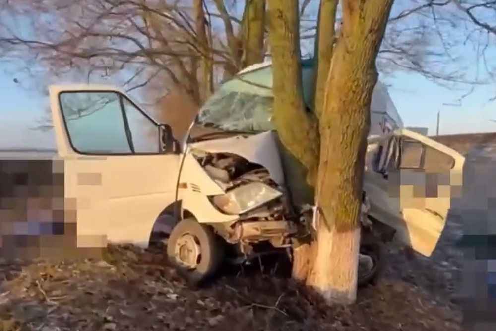 В Белгородской области завели дело после ДТП с двумя погибшими
