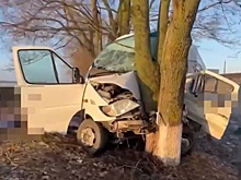 В Белгородской области завели дело после ДТП с двумя погибшими