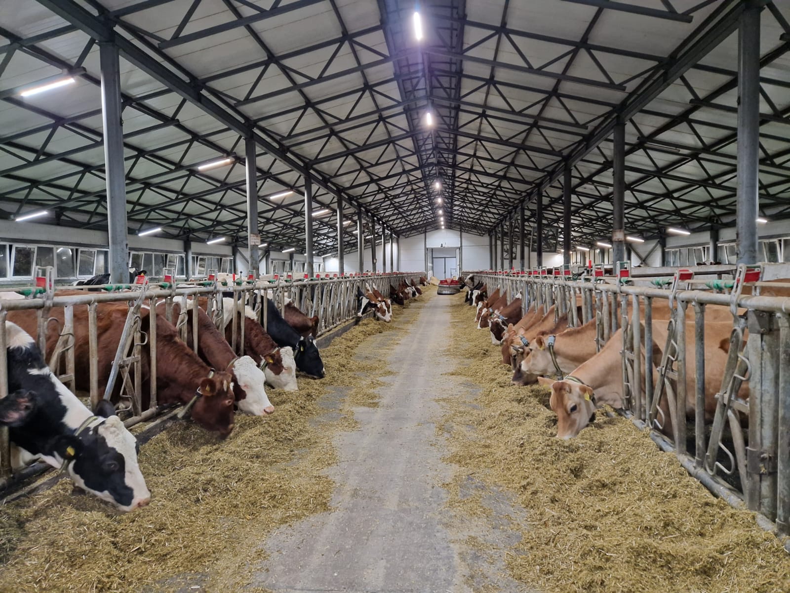 Сельхозпроизводители региона обсудили перспективы развития молочного животноводства