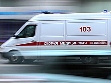 Рейсовый автобус столкнулся с мусоровозом во Владимирской области