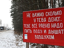 Кому нужна свалка на болоте? Подмосквичи продолжают бороться за право дышать чистым воздухом