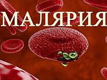 В Крыму каждый год диагностируют несколько случаев малярии