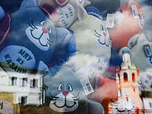 Музей истории котов появится в здании на Большой Красной улице в Казани