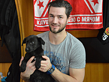 В «Добрые руки» хабаровских хоккеистов угодили животные из приюта