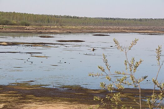 В Кезском районе Удмуртии высыхает местный пруд