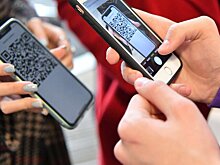 Закон о QR-кодах, скорее всего, не будет принят до 1 февраля - источник в ГД