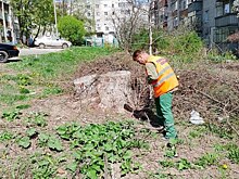 В Курске названы управляющие кампании-нарушители