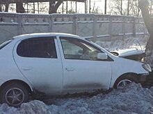 В Шадринске автоледи врезалась в дерево
