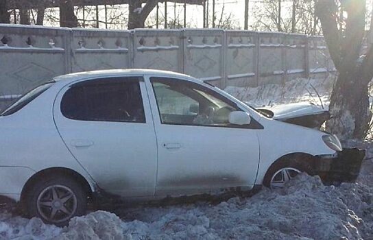 В Шадринске автоледи врезалась в дерево