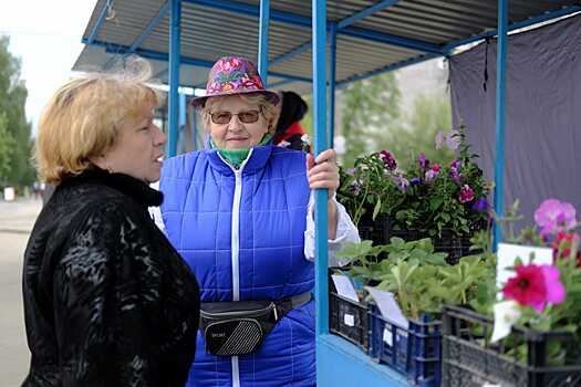 Пенсионеров-ИП могут освободить от налогов. Даже в не пострадавших от коронавируса отраслях