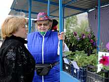 Пенсионеров-ИП могут освободить от налогов. Даже в не пострадавших от коронавируса отраслях