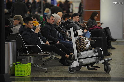 Около 20 рейсов задержали и отменили в аэропортах столицы