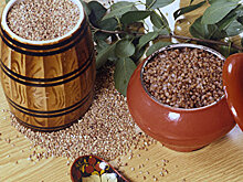 Приготовила еду – с лебедою череду: что ели на Руси в голодные годы