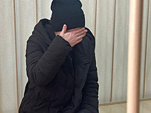 Суд не стал отправлять в СИЗО актрису Дрожжину по делу о хищении у семьи Баталова