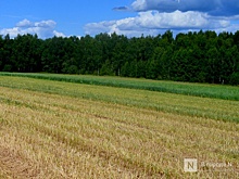Нижегородский племзавод попался на нарушениях при применении пестицидов