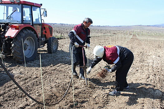 Росреестр рассказал, где забрать не полученные вовремя документы