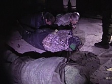 В Поволжье пресечена деятельность рыбных браконьеров с учеными степенями